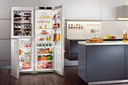 Deficiențele de bază ale frigiderelor liebherr și eliminarea lor, secrete acasă - o atmosferă în casă