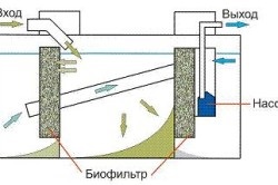 Відкачування септиків технологія викачування мулу