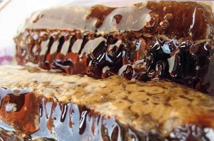 Honeydew miere ceea ce este, proprietati utile si medicamente