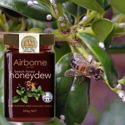 Honeydew miere ceea ce este, proprietati utile si medicamente