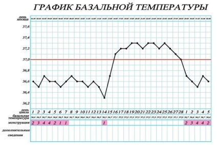 Creșterea temperaturii după și în timpul ovulației - cauze și tratament