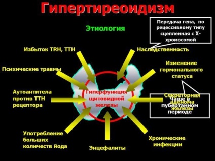 Pregătirea instrucțiunilor de utilizare, indicații și recenzii pentru aritmii