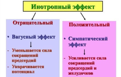 Pregătirea instrucțiunilor de utilizare, indicații și recenzii pentru aritmii