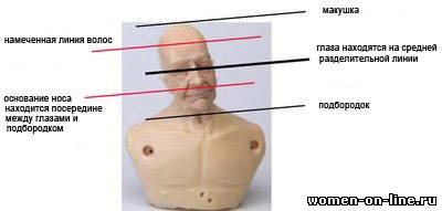 Proporțiile, dimensiunile corpului și capului de păpuși miniatură
