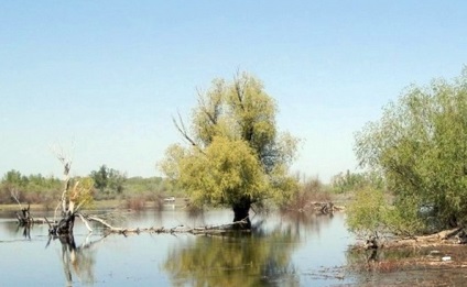 Horgászat az alsó Volga-n a tavaszi magas víz alatt
