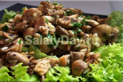 Saláta csirkemellel és gombákkal - az egészség és az öröm számára egy receptet fotókkal és videókkal