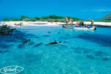 Surf în Galapagos - excursii de surf la insulele Galapagos