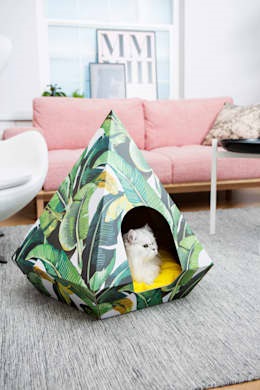 Idei proaspete ale unei case confortabile pentru o pisică