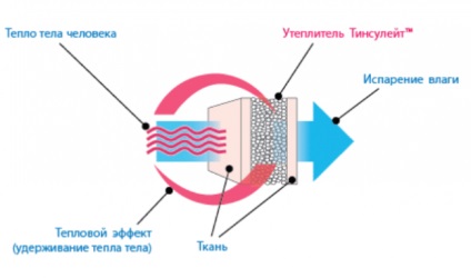 Recenzii izolate din tinsulate