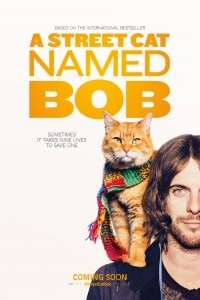 Pisica de strada numita Bob (2016) ceas online, de calitate buna HD 720p