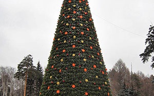 Copaci de stradă copacii - fabrică de pom de Crăciun