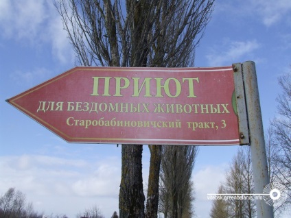 Adăpostul din Vitebsk pentru animalele fără adăpost se poate închide