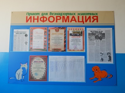 Adăpost Vitebsk pentru animalele într-o situație critică, ziarul 