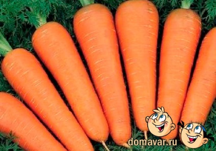 Depozitarea morcovilor
