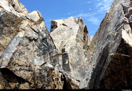 Spiderii otrăviți din Kazahstan, știri despre fotografii