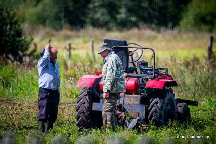 Industria de fructe de pădure pe măsură ce câștigi bani pe afine