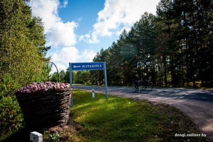 Industria de fructe de pădure pe măsură ce câștigi bani pe afine