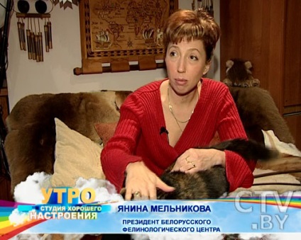 Janina Melnikova, stăpână de opt pisici de pisică, dormește cu noi în pat, televiziune metropolitană