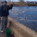 Jaluzele - vânătoare și pescuit în Rusia și în străinătate