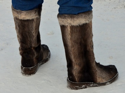 Iarna în pește Yakutsk, cerb, permafrost și diamante