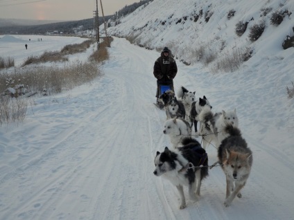 Iarna în pește Yakutsk, cerb, permafrost și diamante