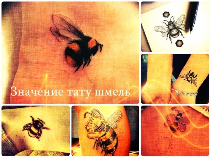 Înțeles tattoo bumblebee meaning, history, photo, sketches of drawings