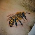 Înțeles tattoo bumblebee meaning, history, photo, sketches of drawings