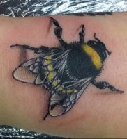 Înțeles tattoo bumblebee meaning, history, photo, sketches of drawings