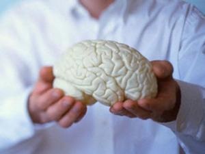 10 Lucruri care afectează negativ creierul, pentru sănătatea ta