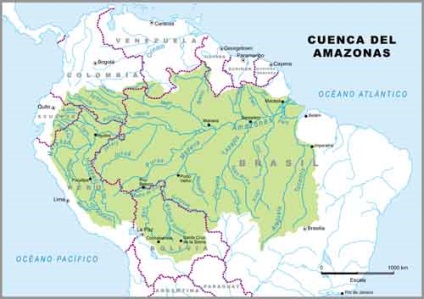 Câmpia amazoniană, hasta pronto