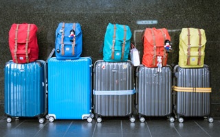 Zborul către Cipru - reguli pentru transportul copiilor, bagajelor și animalelor în timpul călătoriei cu avionul către Cipru