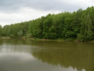 База відпочинку «берізка» Нижегородська область, павловській р-н