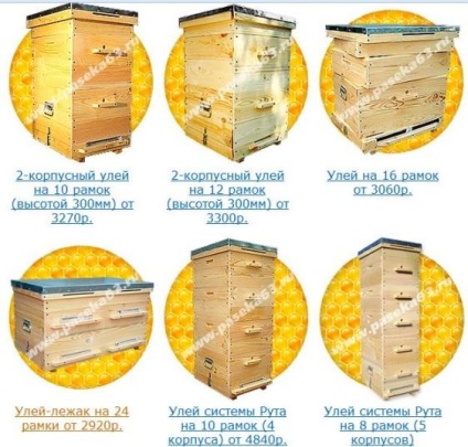 Afaceri în furaj cum să facă bani pe albine