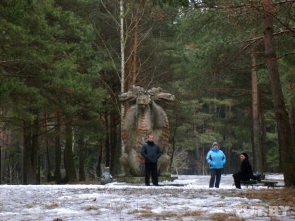 Nagy pecsét, egy kis helyre, ahol a magas emelkedéseken megbotlódhat