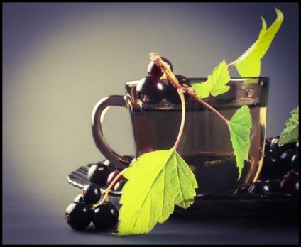 A ribizli levelekből készült tea jó és rossz az egészségre