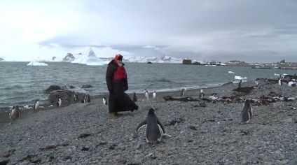 Ce sa întâmplat de fapt în Antarctica sau 