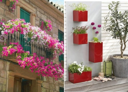 Flori pe balcon cea mai bună colecție de fotografii cum să decorezi balconul