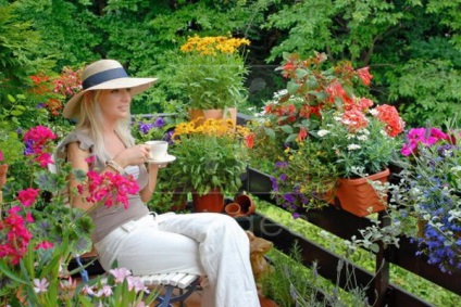 Flori pe balcon cea mai bună colecție de fotografii cum să decorezi balconul