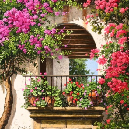 Flori pe balcon cea mai bună colecție de fotografii cum să decorezi balconul
