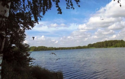 Село Chizhkova Bogorodsk риболовна зона (chizhkovskoe Lake)