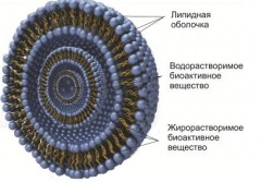 Substanța activă - lipozomi multistrat