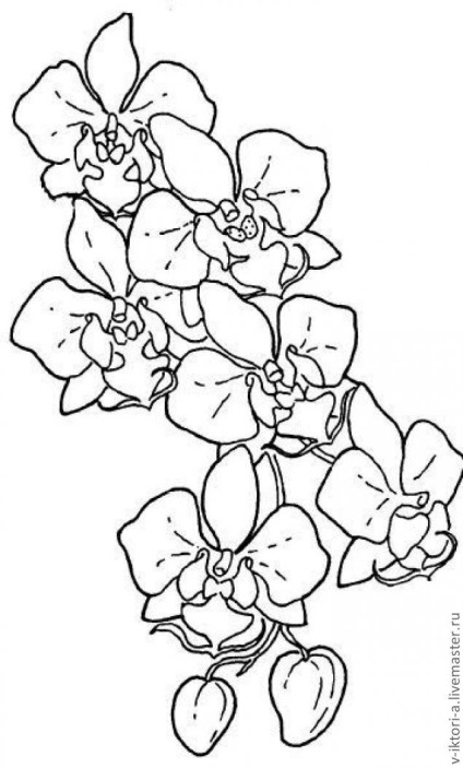 Orhideele sălbatice (eșarfă) 180