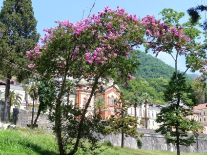 Obiective turistice Gagra Abhazia