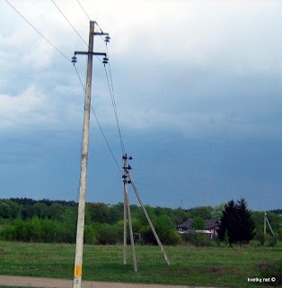 Câmpuri electromagnetice - flori