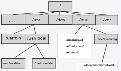 Sistemul de fișiere linux
