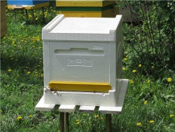 Nivelele finlandeze - soluția modernă a unei case de albine