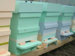 Finn csalánkiütés - a méh ház modern megoldása