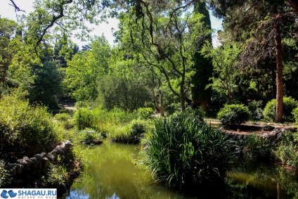 Forossky Park Crimea séta, történelem és fotók