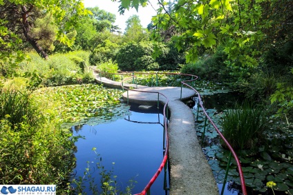 Forossky Park în Crimeea plimbare, istorie și fotografii