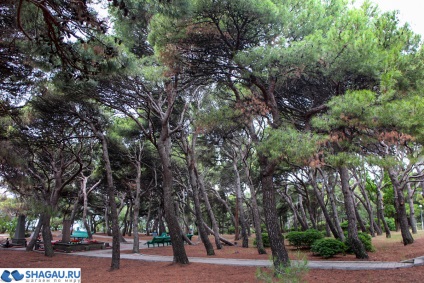 Forossky Park în Crimeea plimbare, istorie și fotografii